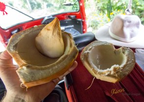 After drinking the coconut water the next best thing to do is to eat the fresh coconut by opening it up and scooping it with a "coconut spoon"! Delicious, healthy and highly environmental friendly
