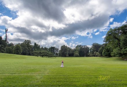 Botanic Gardens don't always mean flowers and congested spaces. Here is a huge open space ideal for my minimalist shot. Royal Botanic Gardens, Kandy, Sri Lanka