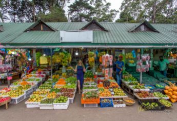 The fruit availability is such a pleasant surprise in Sri Lanka. they don't do it only for the tourists, they actually eat a lot of fruits. What a healthy habit. Here is one of the many fruit stands in the city of Nuwara Eliya, elevation of 1,868 metres above sea level.