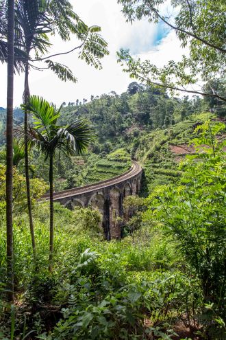 Train Brigde framed by the tropical forest in Sri Lanka. What a sight.