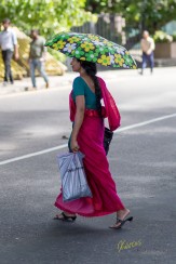 My favorite subject, although I didn't have the chance to take many photos. The flow of the Sarees when a woman is walking is unique. Colombo, Sri Lanka.