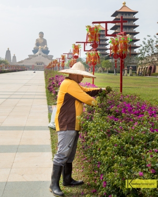 My admiration to the gardeners in Taiwan (as well as during my trip to Japan) is great. They deserve to be mentioned after all their hard work. Great Buddha, Kaohsiung, Taiwan.